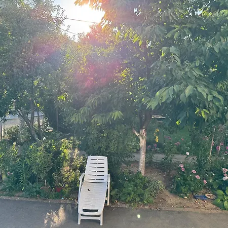 Xxl Free Parking